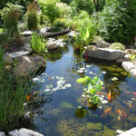 A pond with many different plants and rocks.