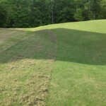 A field with grass that has been cut and is ready for planting.