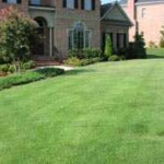 A large lawn in front of a house