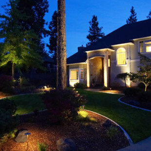 A house with lights on the front lawn
