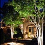 A house with trees and lights on the front lawn.