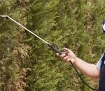 A person holding a fishing rod and a cell phone.