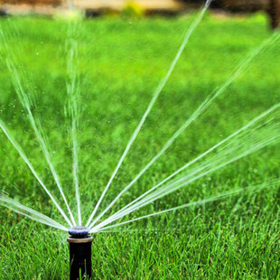 A water sprinkler spraying out of the ground.